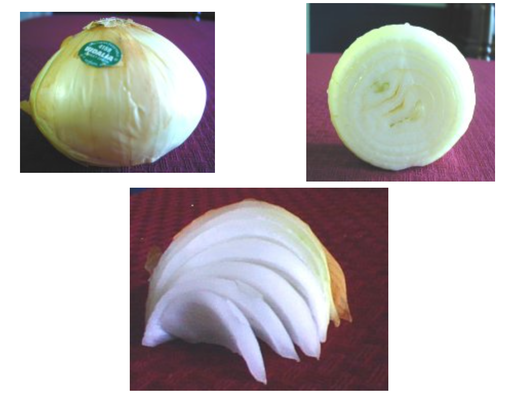 An onion is made up of nested layers. 